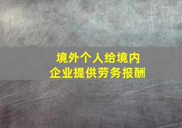 境外个人给境内企业提供劳务报酬