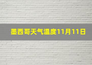 墨西哥天气温度11月11日