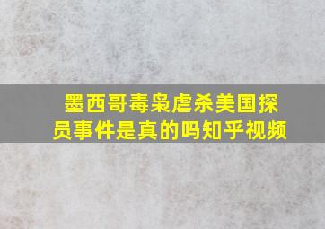 墨西哥毒枭虐杀美国探员事件是真的吗知乎视频