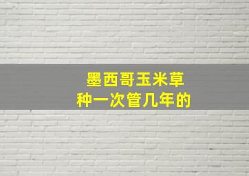 墨西哥玉米草种一次管几年的