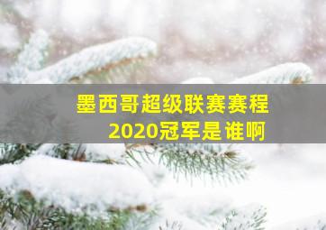 墨西哥超级联赛赛程2020冠军是谁啊