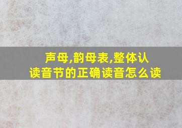 声母,韵母表,整体认读音节的正确读音怎么读