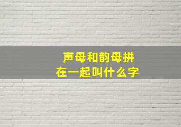 声母和韵母拼在一起叫什么字