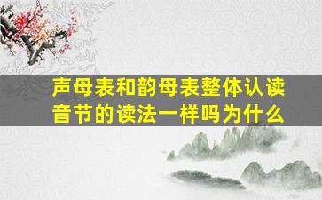 声母表和韵母表整体认读音节的读法一样吗为什么