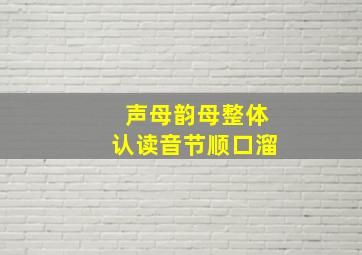 声母韵母整体认读音节顺口溜