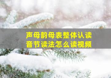 声母韵母表整体认读音节读法怎么读视频