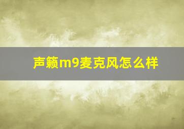 声籁m9麦克风怎么样