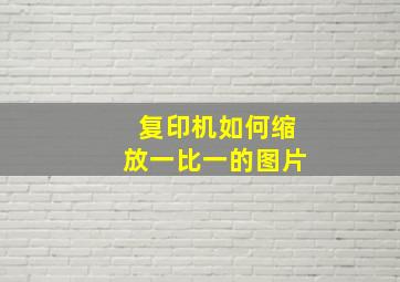 复印机如何缩放一比一的图片