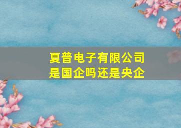 夏普电子有限公司是国企吗还是央企