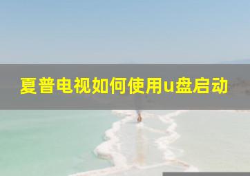 夏普电视如何使用u盘启动