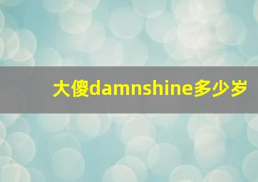 大傻damnshine多少岁