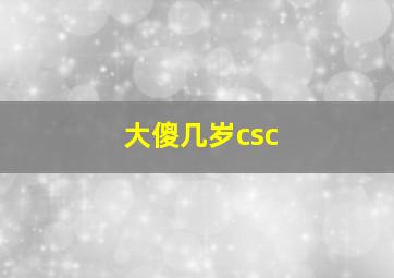 大傻几岁csc