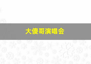 大傻哥演唱会