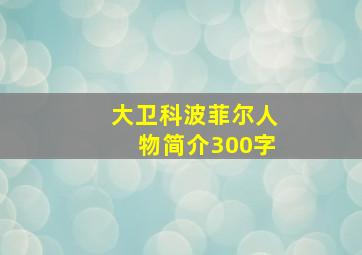 大卫科波菲尔人物简介300字