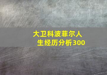 大卫科波菲尔人生经历分析300