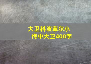 大卫科波菲尔小传中大卫400字