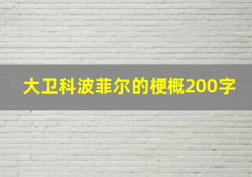 大卫科波菲尔的梗概200字