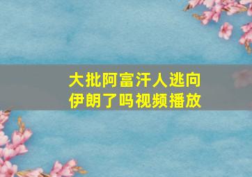 大批阿富汗人逃向伊朗了吗视频播放