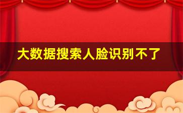 大数据搜索人脸识别不了