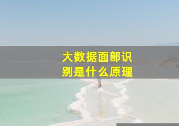 大数据面部识别是什么原理