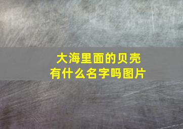 大海里面的贝壳有什么名字吗图片