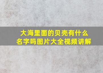 大海里面的贝壳有什么名字吗图片大全视频讲解