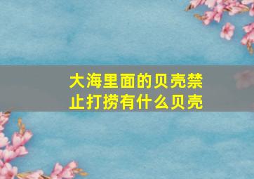 大海里面的贝壳禁止打捞有什么贝壳