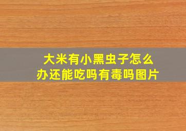 大米有小黑虫子怎么办还能吃吗有毒吗图片