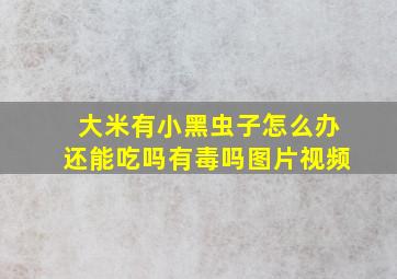 大米有小黑虫子怎么办还能吃吗有毒吗图片视频