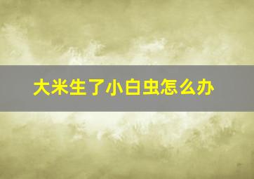 大米生了小白虫怎么办