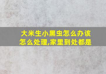 大米生小黑虫怎么办该怎么处理,家里到处都是