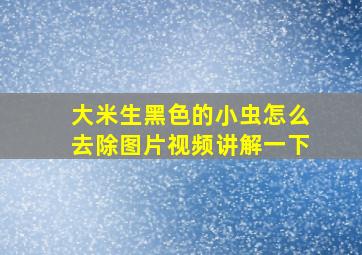 大米生黑色的小虫怎么去除图片视频讲解一下