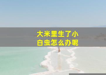 大米里生了小白虫怎么办呢