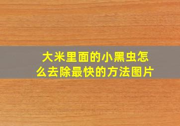 大米里面的小黑虫怎么去除最快的方法图片