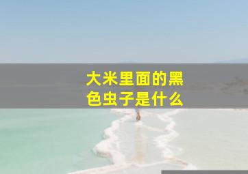 大米里面的黑色虫子是什么