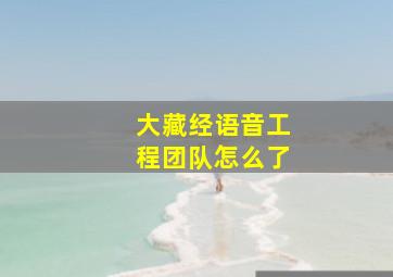 大藏经语音工程团队怎么了