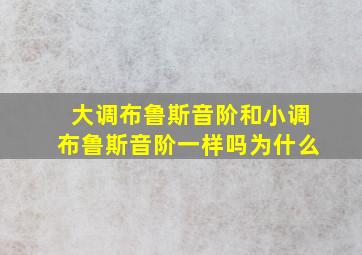 大调布鲁斯音阶和小调布鲁斯音阶一样吗为什么