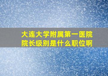 大连大学附属第一医院院长级别是什么职位啊