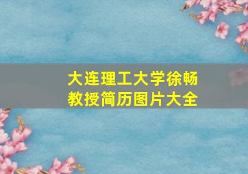 大连理工大学徐畅教授简历图片大全