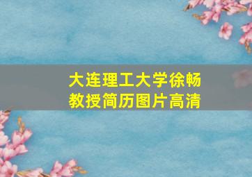 大连理工大学徐畅教授简历图片高清