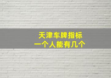 天津车牌指标一个人能有几个