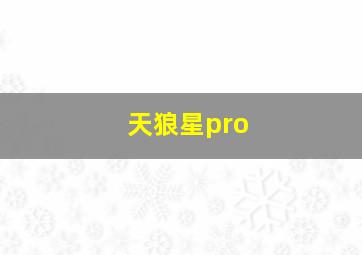 天狼星pro