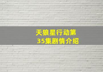 天狼星行动第35集剧情介绍