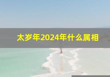 太岁年2024年什么属相