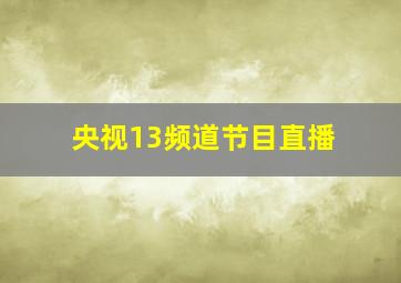 央视13频道节目直播