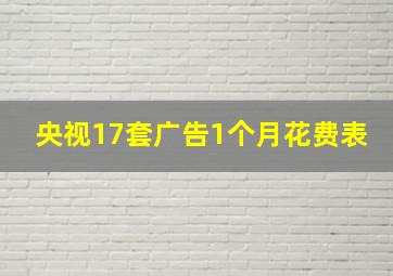 央视17套广告1个月花费表