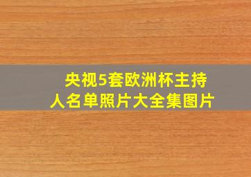 央视5套欧洲杯主持人名单照片大全集图片