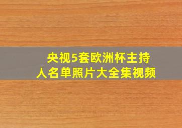 央视5套欧洲杯主持人名单照片大全集视频