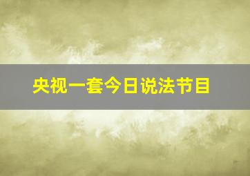 央视一套今日说法节目