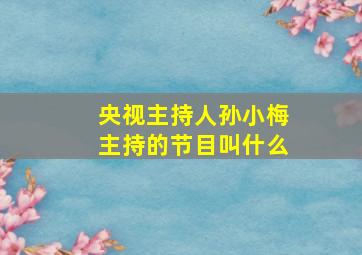 央视主持人孙小梅主持的节目叫什么